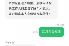 梨树县梨树县的要账公司在催收过程中的策略和技巧有哪些？