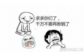 梨树县如果欠债的人消失了怎么查找，专业讨债公司的找人方法